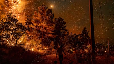 Trees on fire in Seydikemer district, in Turkey's Mugla province. AFP