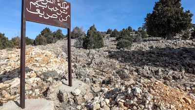 An activist Dany Geagea has taken matters into his own hands by helping set up a juniper reserve. About 30,000 trees have been planted here in the past two decades