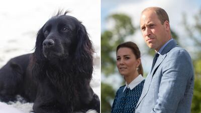 The Duke and Duchess of Cambridge are mourning their pet dog, Lupo, who died aged 9.
