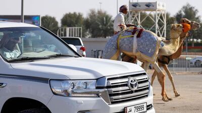 A Qatari participant sits in his car during a camel race. The track becomes a gathering place for thousands of handlers and camel owners from around the Gulf during the racing season. AFP