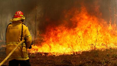 Firefighters work to contain a bushfire along Old Bar road in Old Bar. Wildfires razing Australia's drought-stricken east coast have left two people dead and several missing, more than 30 injured and over 150 homes destroyed, officials said Saturday. AP