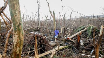 Wesley Joseph walks through fallen trees and debris on devastated Great Abaco Island on September 6, 2019 in the Bahamas. Hurricane Dorian hit the island chain as a category 5 storm. Getty