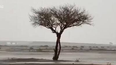 Downpours on the UAE's east coast led to isolated flooding - and more rain is forecast on Sunday.