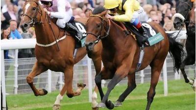 Opinion Poll, right, is in action in the Lonsdale Cup today.