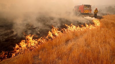 A firefighter battles a hotspot caused by the Woosley Fire in Malibu. EPA