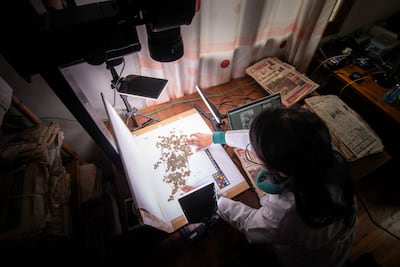 Species held at Kew Madagascar are digitised. Photo: RBG Kew
