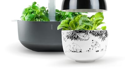 Smart plants My Green Chapter