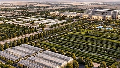 A rendering of the agricultural community being developed in Abu Dhabi. Image: Qitaf