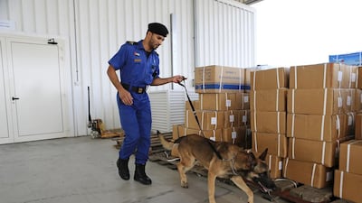 A Dubai Customs inspector uses a special canine unit to search for drugs in an unloaded shipment in Jebel Ali Port in Dubai. Sarah Dea / The National