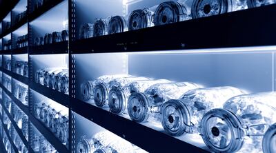 Inside the vaults of the Royal Botanic Gardens, Kew’s Millennium Seed Bank. Photo: Royal Botanic Gardens, Kew