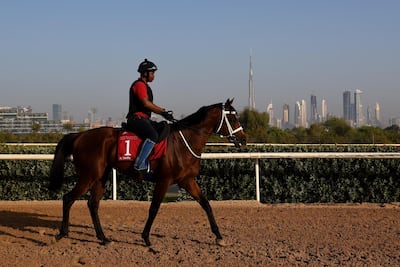 Gold Town is a leading contender to win the UAE Derby. Tom Dulat / Getty Images