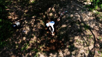 A man digging in search of the remains of atomic bomb victims, believed to have been buried there since 1945, on Ninoshima Island in Hiroshima, Japan. Reuters