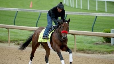 Nyquist runs on the track during the morning training for the 2016 Kentucky Derby at Churchill Downs on May 03, 2016 in Louisville, Kentucky. Andy Lyons / Getty Images