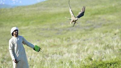 The Sheikh Zayed programme releases 93 falcons in the wild of Kazakhstan.