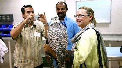 Tourism is at the top of the Abu Dhabi Government's agenda to diversify both the economy and sources of income.