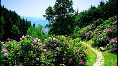 The Italian nature reserve Oasi Zegna, a 100-square-kilometre park originally envisioned by Ermenegildo Zegna. It’s home to a variety of plant life – including conifers, rhododendrons and hydrangeas – plus animals such as foxes, chamois, roe deer, marmots and golden eagles. Courtesy Ermenegildo Zegna