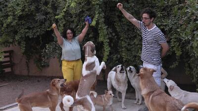 Ms Amro, left, the owner, plays with some of the dogs at the hotel.