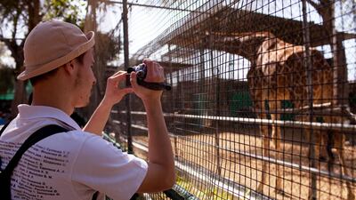 Most of the animals at Dubai Zoo will be moved to Dubai Safari Park. Christopher Pike / The National