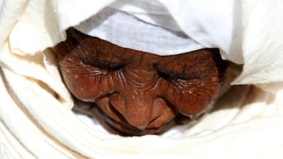 An Ethiopian Christian Pilgrim performs baptism at the Qasr al-Yahud baptism site by the Jordan river, near the West Bank city of Jericho. Alaa Badarneh / EPA