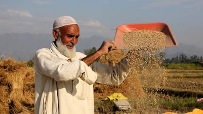 Pluralism is far from dead in India, says one reader. Farooq Khan / EPA