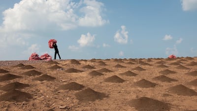 Tarek Al Ghoussein, '(In)Beautification-No.2581' (2012). Courtesy the artist and The Third Line, Dubai