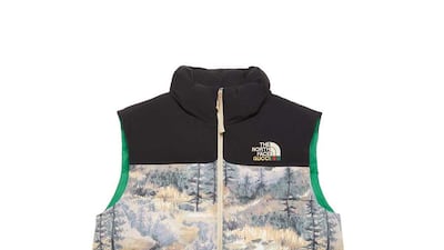 A Nuptse gilet, with alpine snow scene.