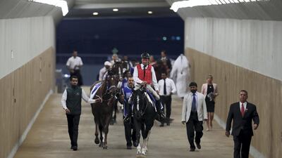 The horses walk towards the parade ring at a race at Meydan Racecourse in Dubai on Thursday night.
