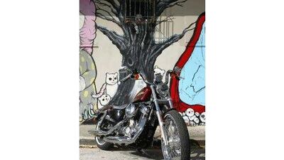 The Harley-Davidson Seventy-Two. Courtesy of Harley-Davidson