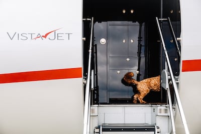 The company is committed to makes its customers's lives easier, including those travelling with pets. Photo: VistaJet