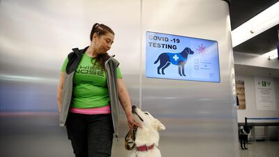 The coronavirus sniffer dog named E.T. receives a cuddle from the trainer Anette Kare at the Helsinki airport in Vantaa, Finland. AFP