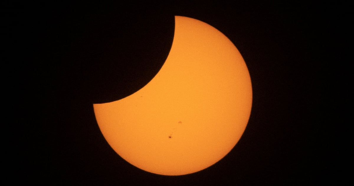 Today's best photos: from a solar eclipse to swallows at sunset | The ...