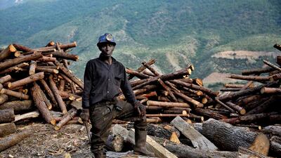 A coal miner prepares logs at a mine on a mountain in Mazandaran province. Ebrahim Noroozi / AP Photo