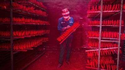 A man wearing a Christmas hat works at a factory producing Christmas decorations in Yiwu, Zhejiang province. China Daily / Reuters