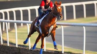 Animal Kingdom was the first American horse to win the Dubai World Cup since the new track at Meydan Racecourse was opened and he will be in the starting gates at Royal Ascot on Tuesday. Jake Badger for The National