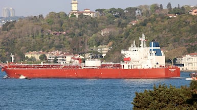 The Malta-flagged Agioi Fanendes is transporting the diesel to New York. Reuters