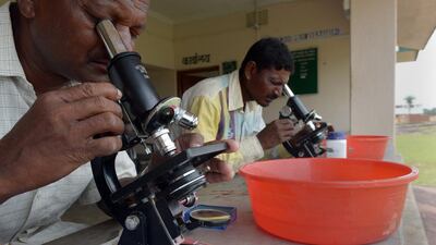 Tribal silkworm farmers examine moths under the microscope to check for diseases.