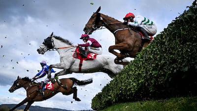 Jockeys and their horses compete in the Cheltenham Festival in England. AFP