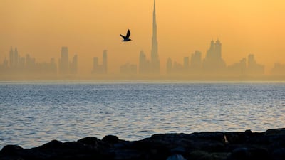 Expo-led construction activity is expected to accelerate real GDP growth. Sarah Dea / The National