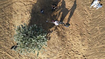 Members collect trash during the desert clean-up drive.