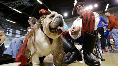 Dave Larson, of Des Moines, Iowa, sits with his bulldog Ramone in pirate attire.