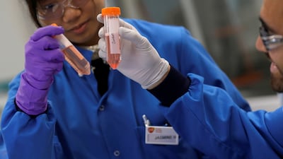 Scientists in Abu Dhabi are at the forefront of stem cell research. Reuters
