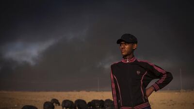 A young shepherd watches over his flock of sheep near the town of Qayyarah, south of Mosul. , The sheep’s fleece has been blackened by smoke from burning oil wells set ablaze by ISIL. Achilleas Zavallis / AFP Photo
