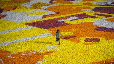 A boy crossing a bed full of fresh flowers at the world's largest fresh flower carpet with the theme of Tolerance, at Dubai Festival City. Leslie Pableo / The National