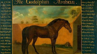 The Godolphin Arabian, painted by Daniel Quigley.