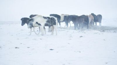 Courtesy Art Couture