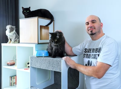 Fawaz Kanaan said dozens of cats which he was rescued have been adopted abroad. Victor Besa / The National