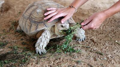 Ms Whileman also oversees training new staff