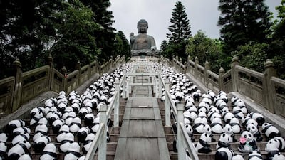 Papier-mache pandas created by French artist Paulo Grangeon are displayed on the steps of the Tian Tan Buddha statue on Lantau Island in Hong Kong on June 10, 2014. The event, consisting of placing 1,600 papier-mache pandas in various cities around the world in collaboration with the WWF is aimed at raising awareness of the endangered species. AFP