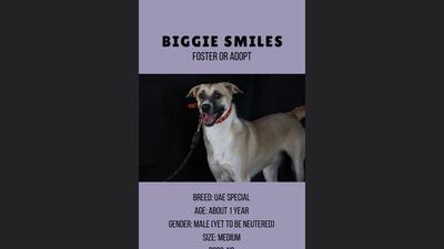 Biggie Smiles, 1, male.