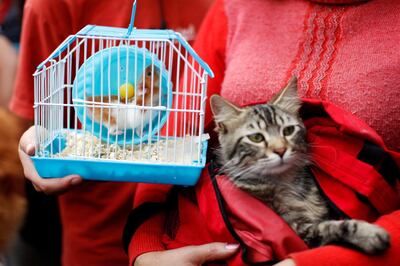People wait for a Catholic priest to bless their pets during a ceremony to commemorate the feast of Saint Francis of Assisi, outside the Saint Francis church in Lima October 12, 2014. Saint Francis is the patron saint of animals and the environment. REUTERS/Enrique Castro-Mendivil (PERU - Tags: RELIGION ANIMALS) - GM1EAAD09RC01